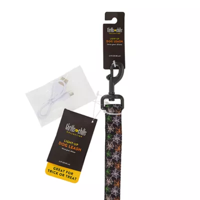 Product Thrills & Chills® LED Spiderswebs Dog Leash 4' x 1"