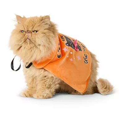 Product Thrills & Chills® Cat Creatures Pet Cape