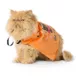 Product Thrills & Chills® Cat Creatures Pet Cape