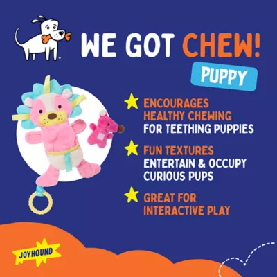 Product Joyhound® Chew Well® Lion Flatte Dog Toy