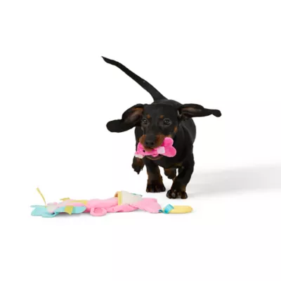 Product Joyhound® Chew Well® Lion Flatte Dog Toy