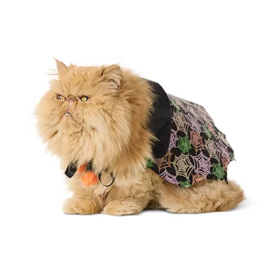 Product Thrills & Chills® Spider Web Cape