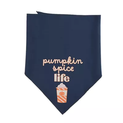 Top Paw® Dog Bandanas, 2 Pack - Image 5