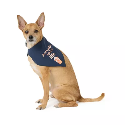 Product Top Paw® Dog Bandanas, 2 Pack