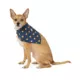 Product Top Paw® Dog Bandanas, 2 Pack