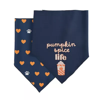 Product Top Paw® Dog Bandanas, 2 Pack