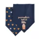 Product Top Paw® Dog Bandanas, 2 Pack