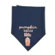 Product Top Paw® Dog Bandanas, 2 Pack