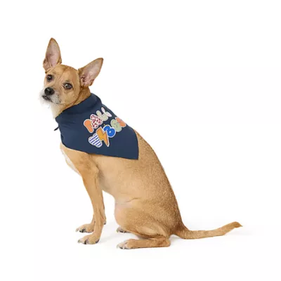 Product Top Paw® Dog Bandanas, 2 Pack
