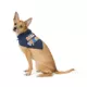 Product Top Paw® Dog Bandanas, 2 Pack