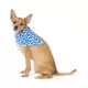 Product Top Paw® Dog Bandanas, 2 Pack