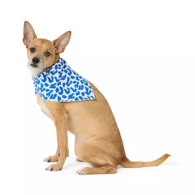 Product Top Paw® Dog Bandanas, 2 Pack