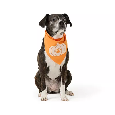 Product Top Paw® Dog Bandanas, 2 Pack