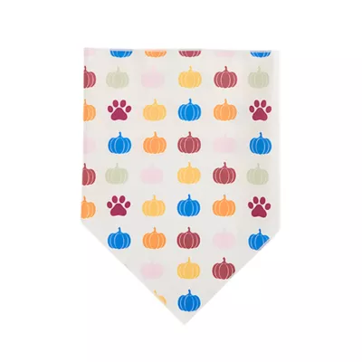 Product Top Paw® Dog Bandanas, 2 Pack