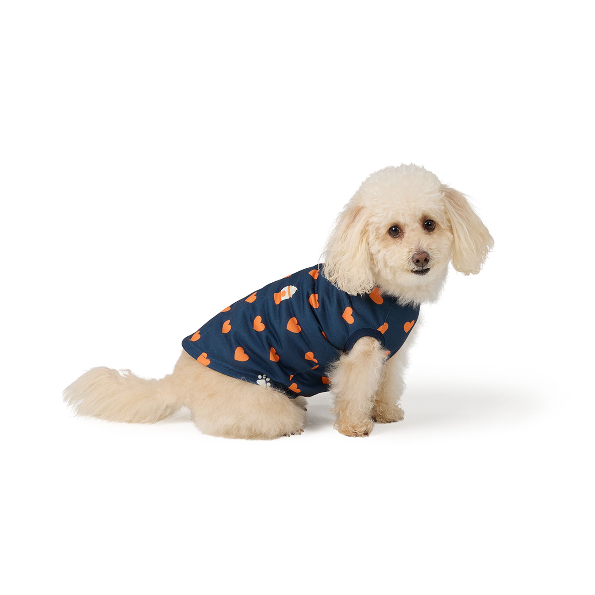 Affordable Dog Clothes: Stylish Picks That Won't Break the Bank