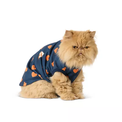 Product Top Paw® Pumpkin Spice T-Shirt