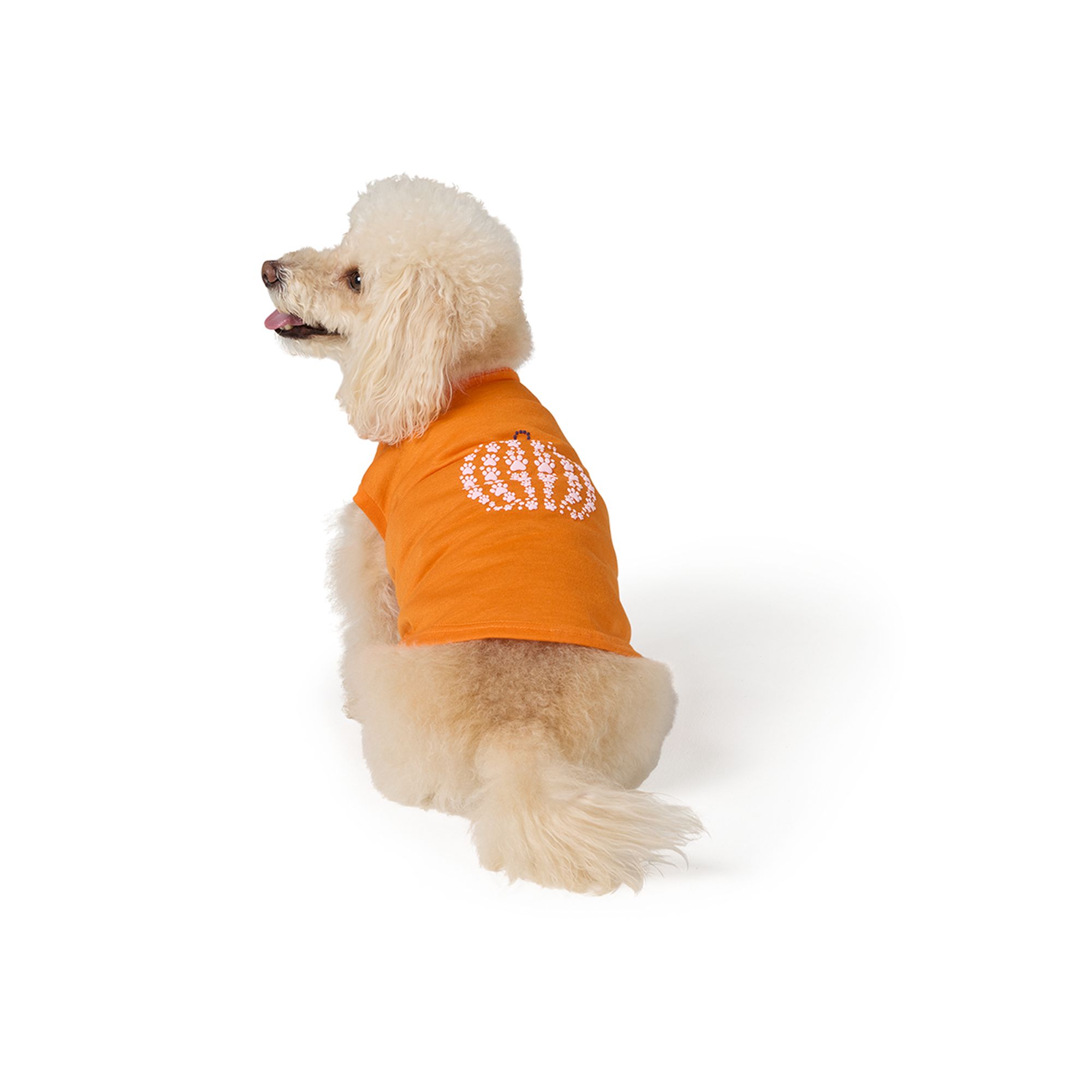 Affordable Dog Clothes: Stylish Picks That Won't Break the Bank