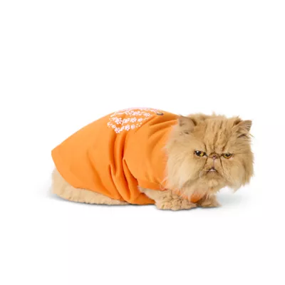 Product Top Paw® Pumpkin T-Shirt, Dog and Cat