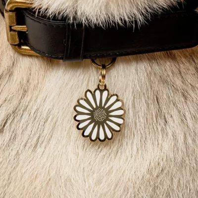 Product Two Tails Pet Company 'Daisy' Pet ID Tag