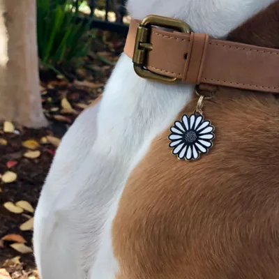 Product Two Tails Pet Company 'Daisy' Pet ID Tag