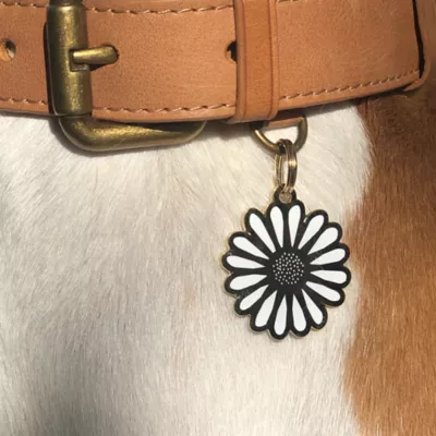 Product Two Tails Pet Company 'Daisy' Pet ID Tag