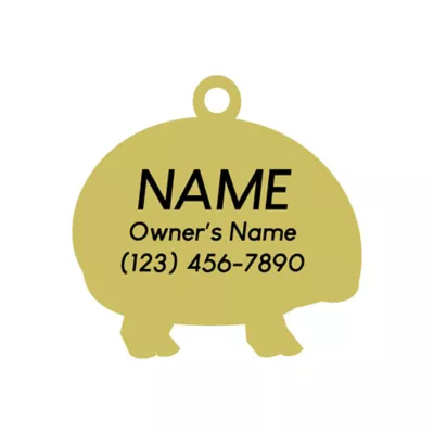 Product Two Tails Pet Company Dino-Mite Pet ID Tag