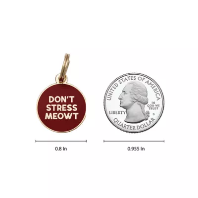 Product Two Tails Pet Company 'Don't Stress Meowt' Pet ID Tag