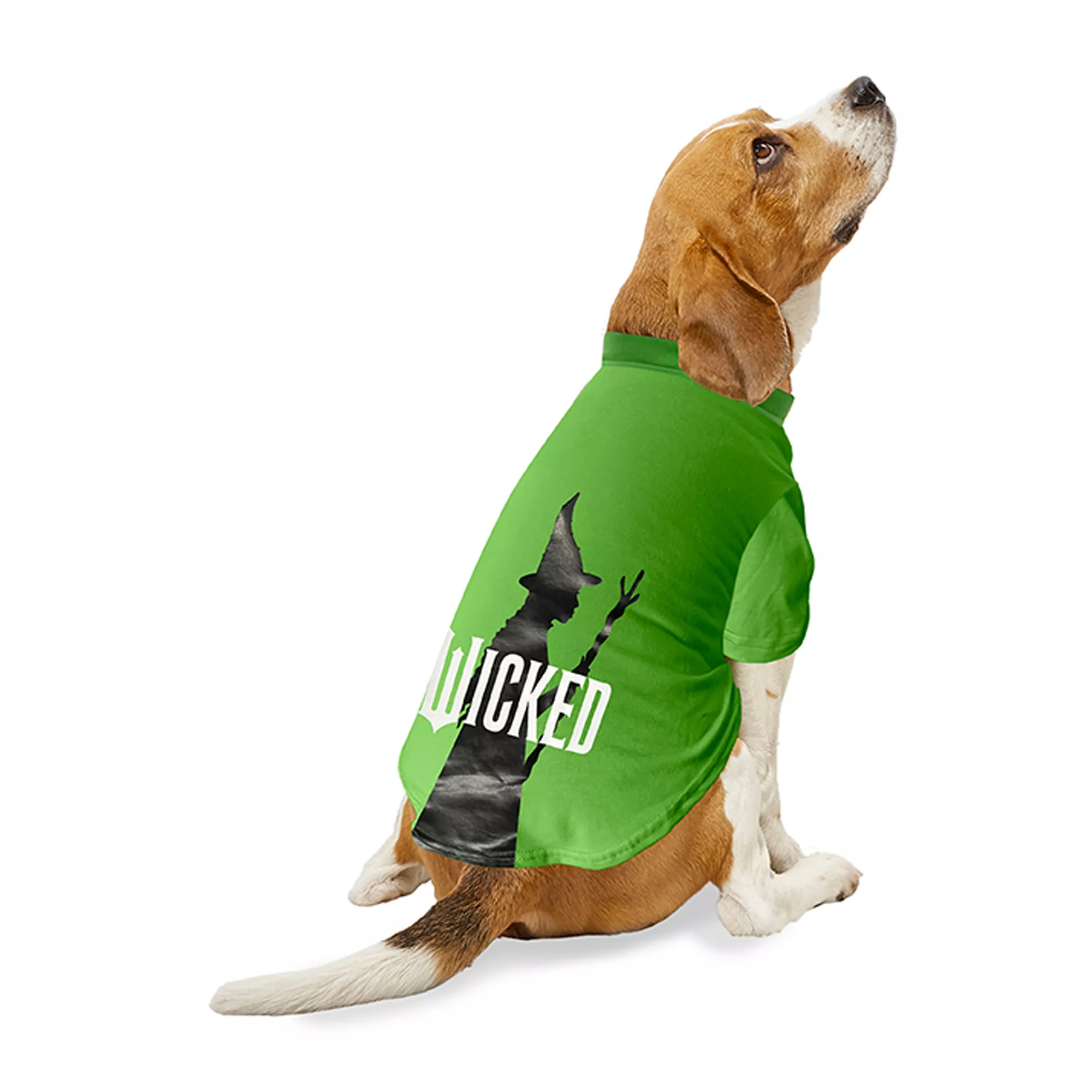 Wicked Green Tee Witch Silhouette