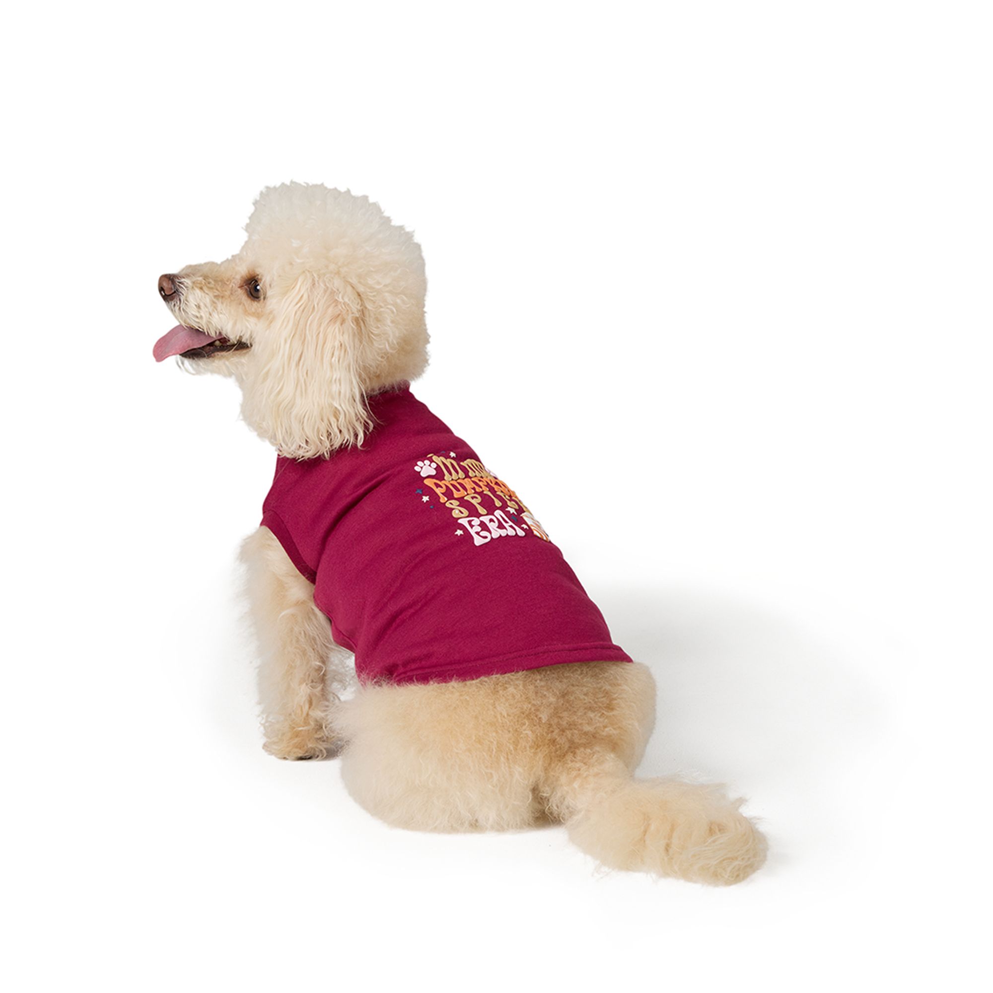 dog wearing orange tshirt