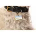 Two Tails Pet Company 'Good Boy' Pet ID Tag image thumbnail 2