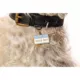 Product Two Tails Pet Company 'Good Boy' Pet ID Tag