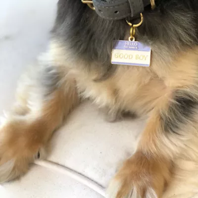 Product Two Tails Pet Company 'Good Boy' Pet ID Tag