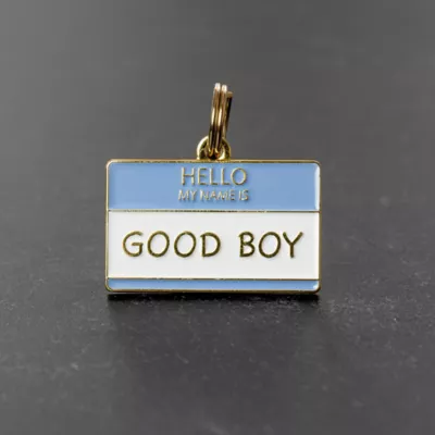 Product Two Tails Pet Company 'Good Boy' Pet ID Tag