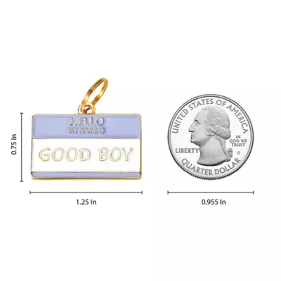 Product Two Tails Pet Company 'Good Boy' Pet ID Tag