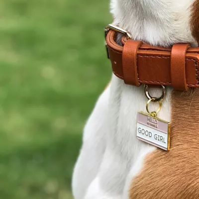 Product Two Tails Pet Company 'Good Girl' Pet ID Tag