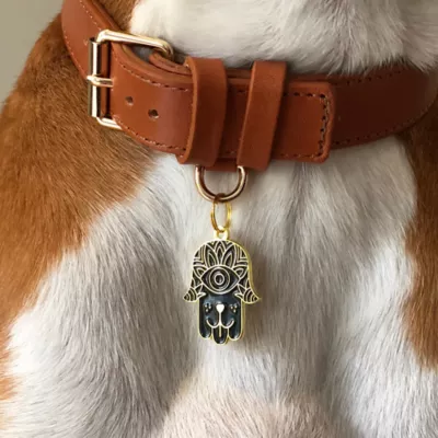 Product Two Tails Pet Company 'Hamsa' Pet ID Tag
