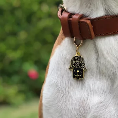 Product Two Tails Pet Company 'Hamsa' Pet ID Tag