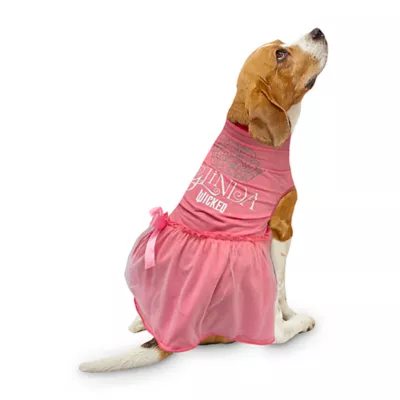 Product Wicked Pink Glinda Dress