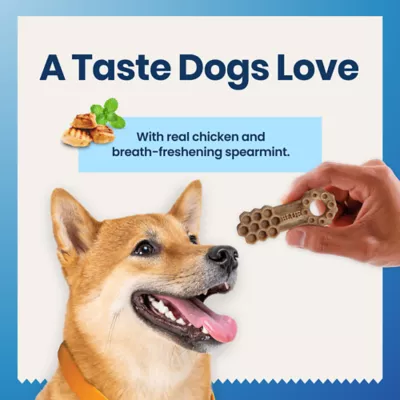 Blue Buffalo All Life Stages Small Dental Chews - Chicken & Spearmint - Image 6