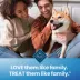 Blue Buffalo All Life Stages Small Dental Chews - Chicken & Spearmint image thumbnail 10
