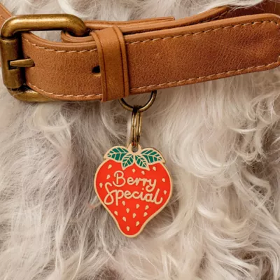 Product Two Tails Pet Company Berry Special Pet ID Tag