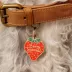 Two Tails Pet Company Berry Special Pet ID Tag image thumbnail 2