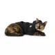 Product Top Paw® Pet Hoodie, Dog and Cat