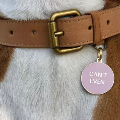 Product Two Tails Pet Company 'Can't Even' Pet ID Tag