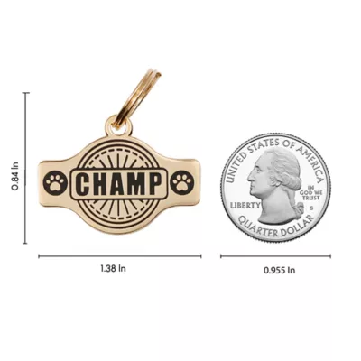 Product Two Tails Pet Company "CHAMP" Pet ID Tag