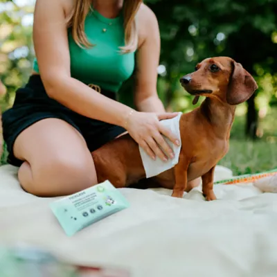 Tickless Citronella Dog Wipes - Image 2