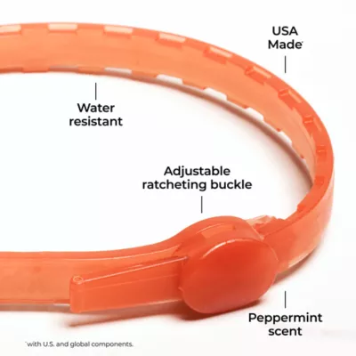 Product Wondercide Dog Natural Flea & Tick Peppermint Collar