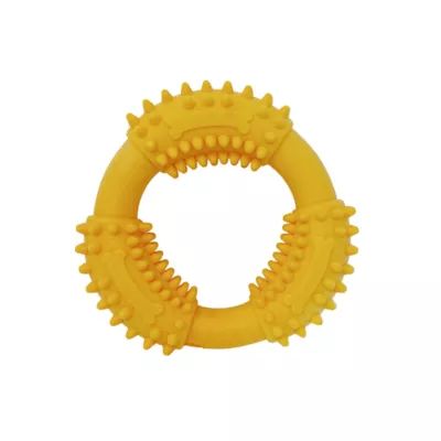 Product Spunky Pup Ring Gnaw Guard Dog Toy