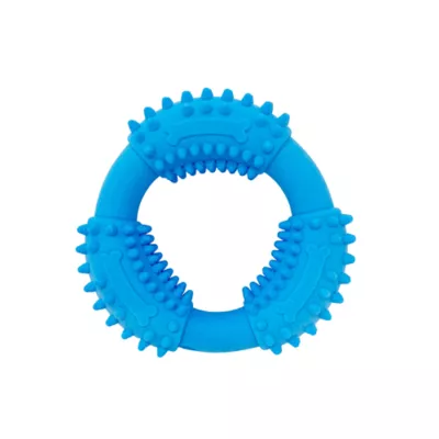 Product Spunky Pup Ring Gnaw Guard Dog Toy