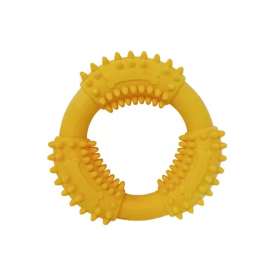 Product Spunky Pup Ring Gnaw Guard Dog Toy